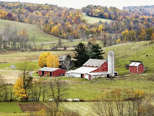 tapety ścienne nowoczesne