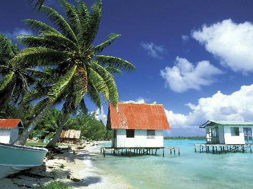 usługi ogrodnicze Piła