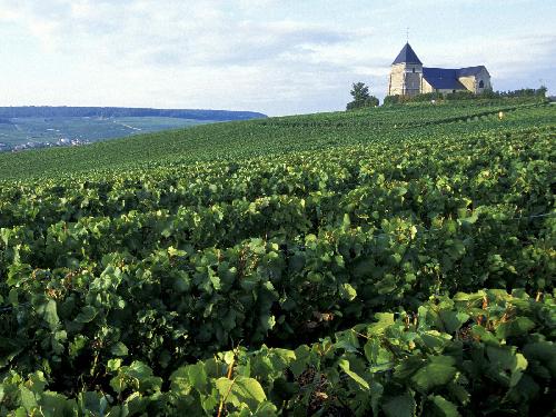 biuro podróży Pila