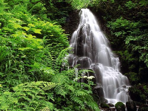 biuro podróży Tramptour w Pile