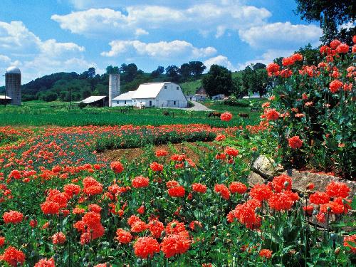 biuro podróży Pila