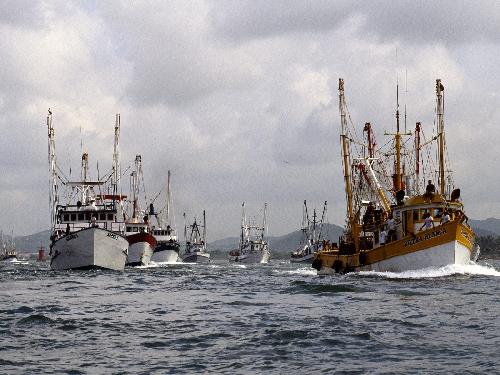 firmy budowlane Pila