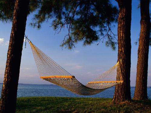 ubojnie drobiu Wielkopolska