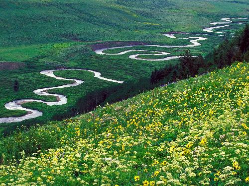 Piła firmy remontowe