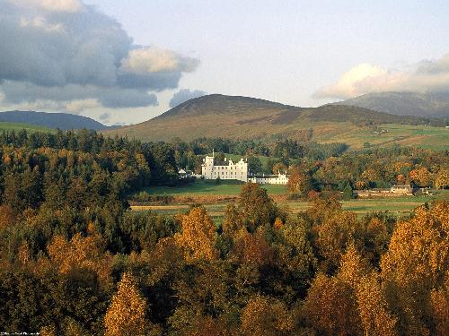 tapety ścienne ekskluzywne