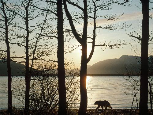 duże rozmiary Poznań