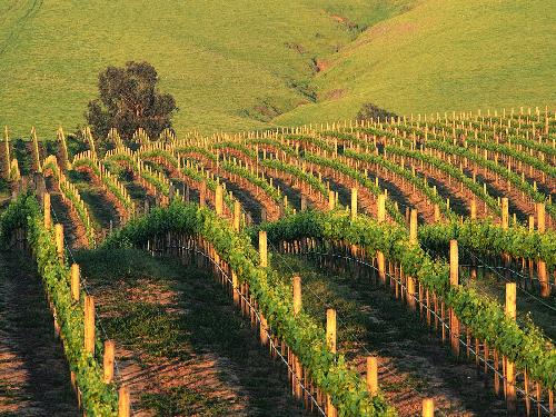 biura podróży Pila