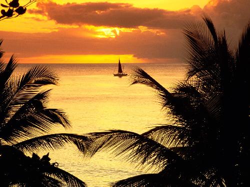 Piła usługi budowlane