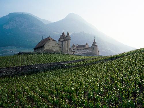 usługi budowlane Piła