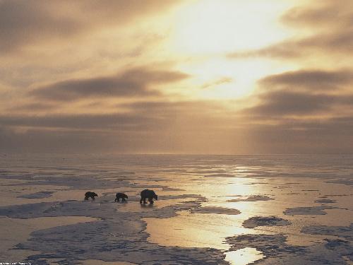 wykończenia mieszkań Piła