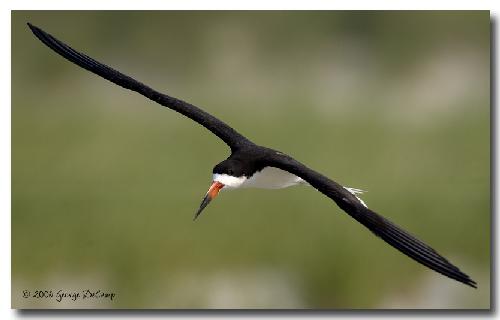 młodzieżowe tapety ścienne