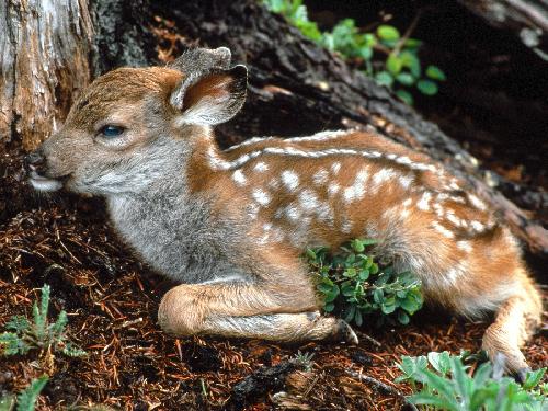 remont mieszkania Piła