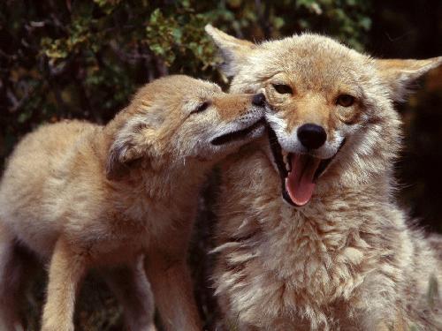 remonty mieszkań Piła