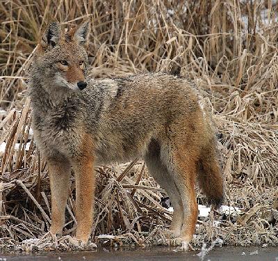 biuro podróży Piła