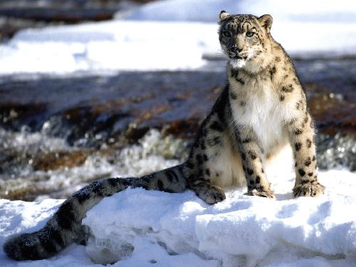 firmy budowlane w Pile