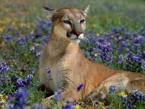 biura podróży Piła dobre