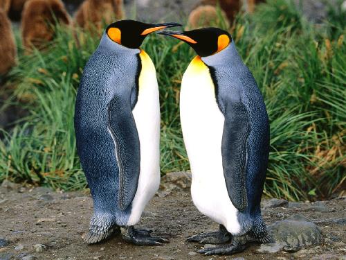 Piła biura podróży