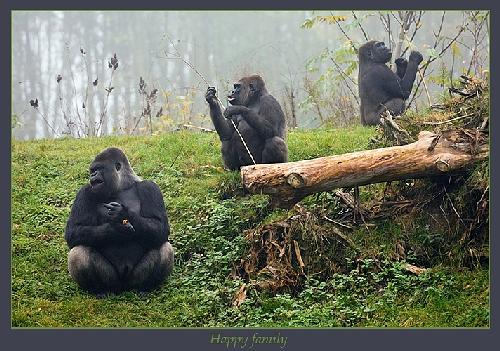Tramptour biuro podróży Piła