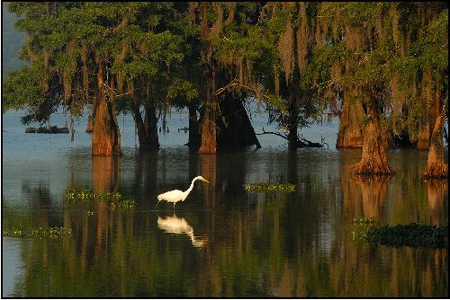 remonty mieszkan Pila