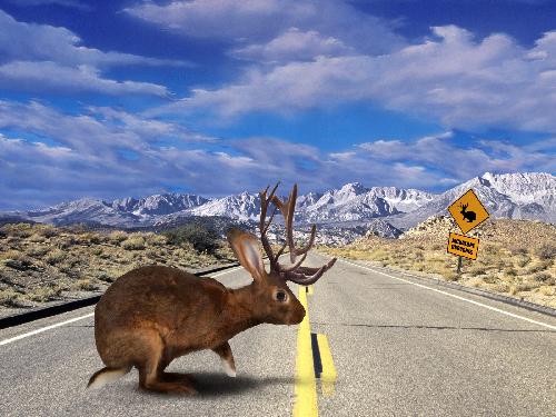 hurtownia odzieży używanej