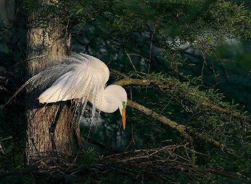 biura podróży Pila