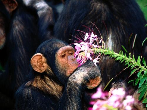 uslugi remontowe Pila