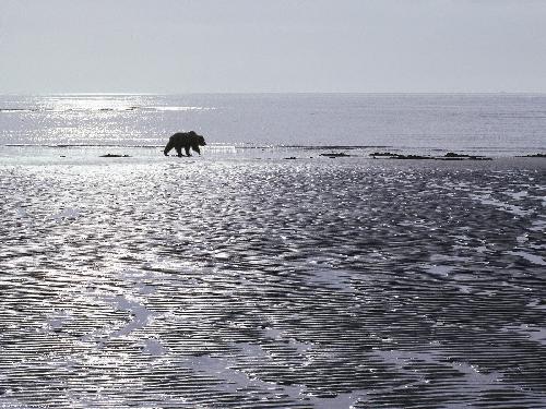 firma remontowa w Pile