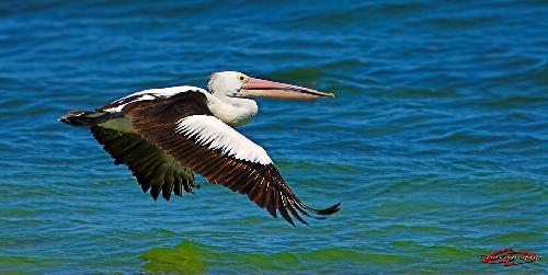 remont mieszkania Piła