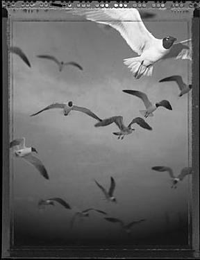 firma remontowa Piła