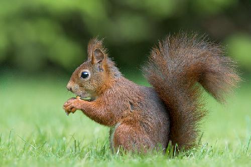 biura podróży Piła godne