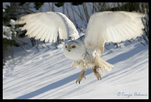 wykończenia mieszkań Trzcianka