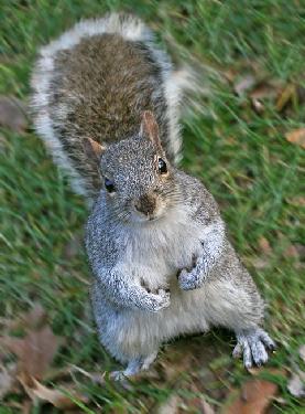 Pilskie biuro podróży Tramptour