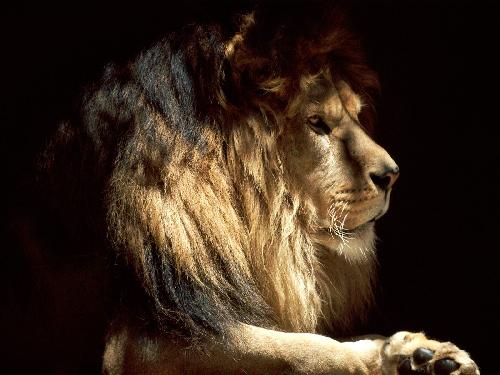 sklep internetowy z torebkami damskimi