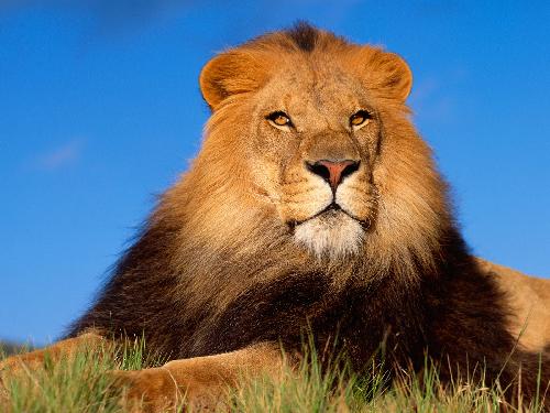 spływy kajakowe Piława