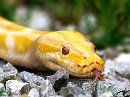 firmy budowlane Piła