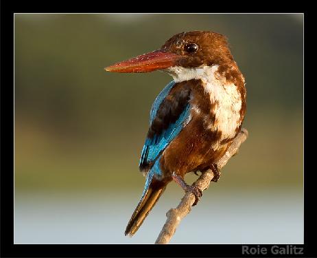 Piła remont mieszkania