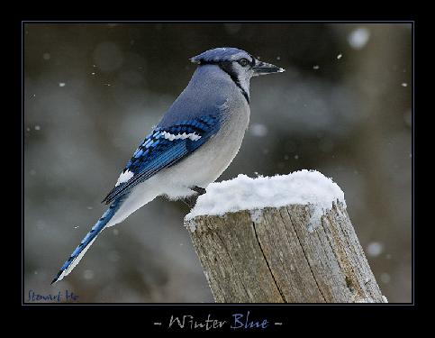 biuro podróży Pila