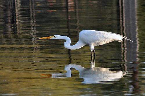 hurtownia odzieży używanej