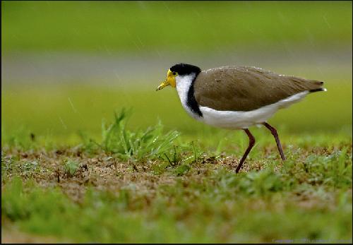 firmy wykończeniowe Piła