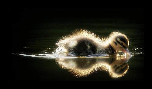 Pila remonty mieszkan