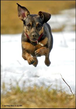biuro podróży Piła
