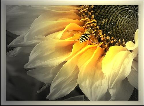 remont mieszkania Piła