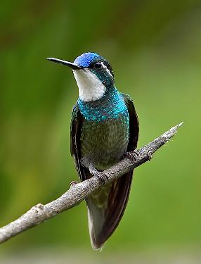 Piła firma budowlana