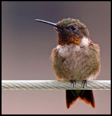 torebki damskie skórzane