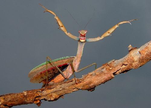 remonty w Szamotułach cennik