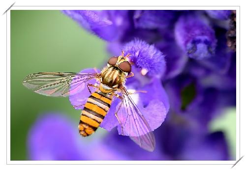 Piła biura podróży