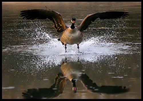 biura podróży Piła godne