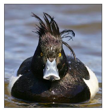 firma remontowa Pila