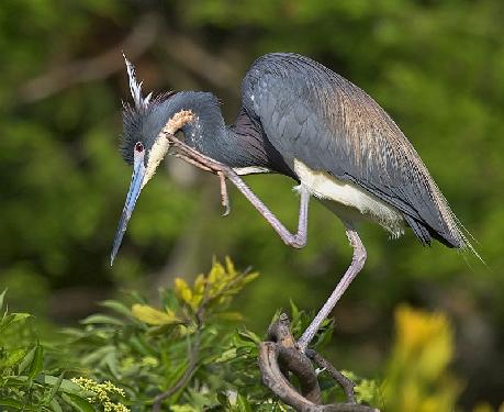 pranie dywanów Piła