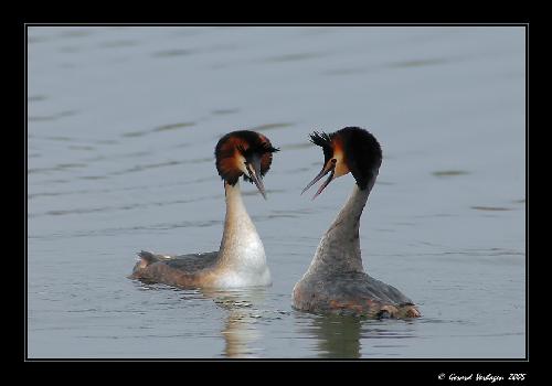firmy budowlane Piła